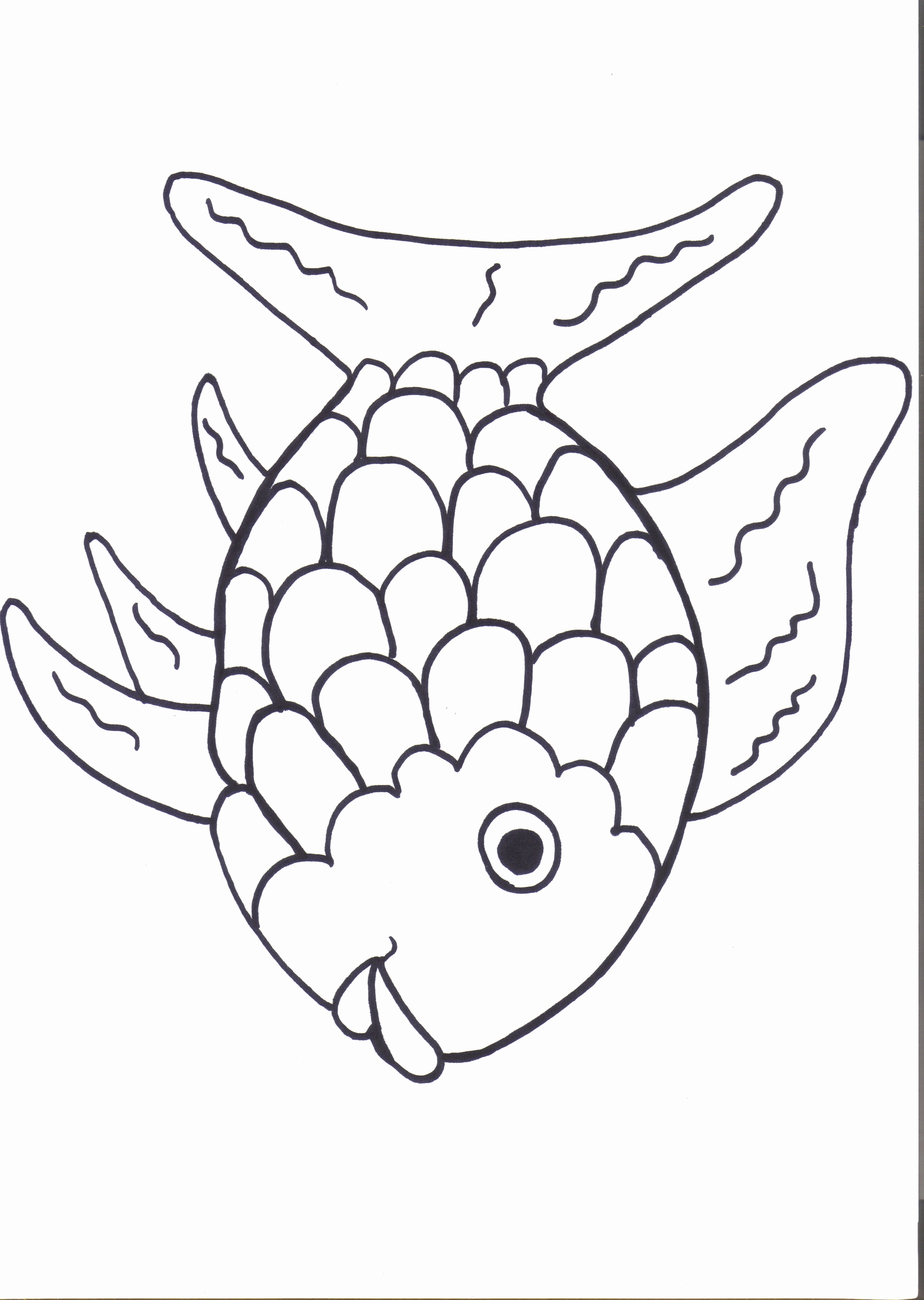 Rainbow Trout Coloring Page