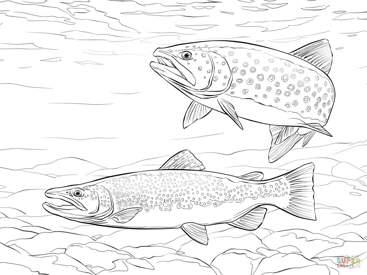 1199x899 Jonah Coloring Pages Unique New Rainbow Trout Coloring Pages