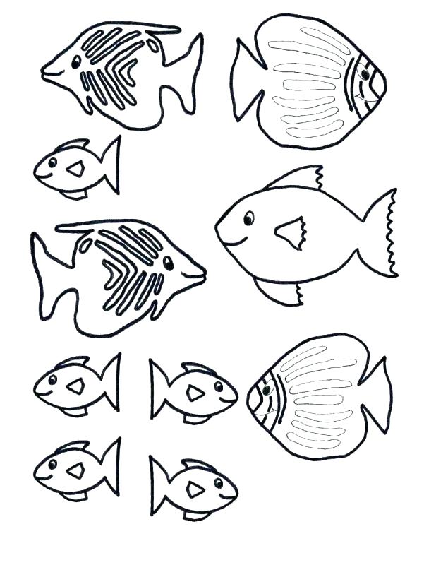 618x800 Rainbow Trout Coloring Page. Finest Coloring Page Of A Rainbow
