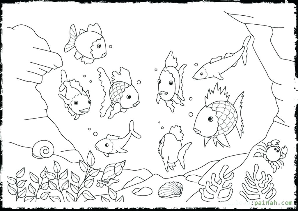 1024x728 Remarkable Rainbow Trout Coloring Page Rainbow Trout Coloring Page