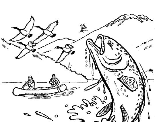 540x425 Trout Coloring Page Rainbow Trout Coloring Page Kaseyand Co Detail