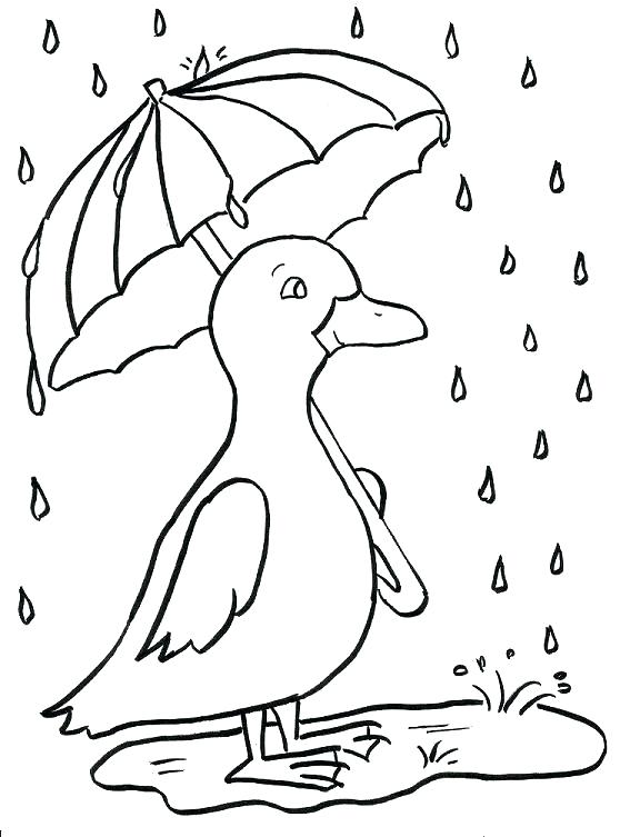 567x753 Duckling Coloring Pages Autoinsuranceny.club
