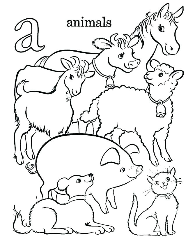 670x820 Forest Animals Coloring Pages Coloring Pages Of Animals Animals
