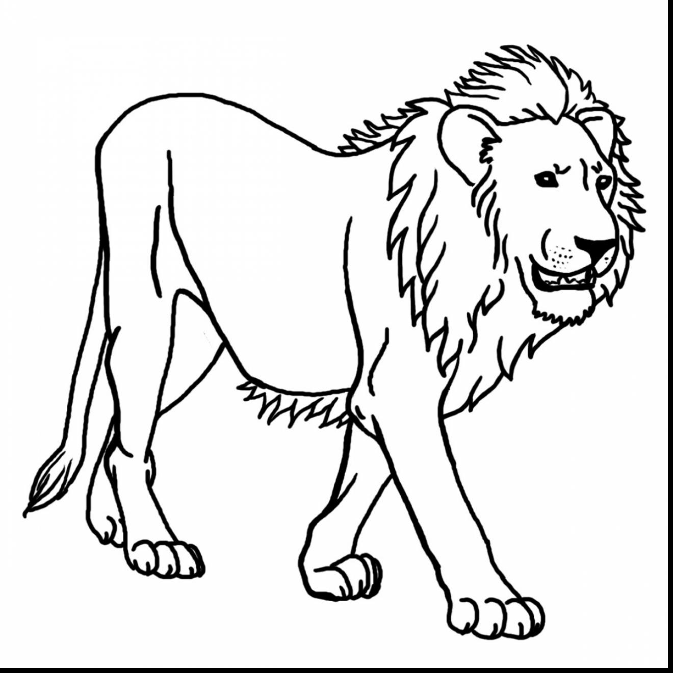 Rainforest Birds Coloring Pages