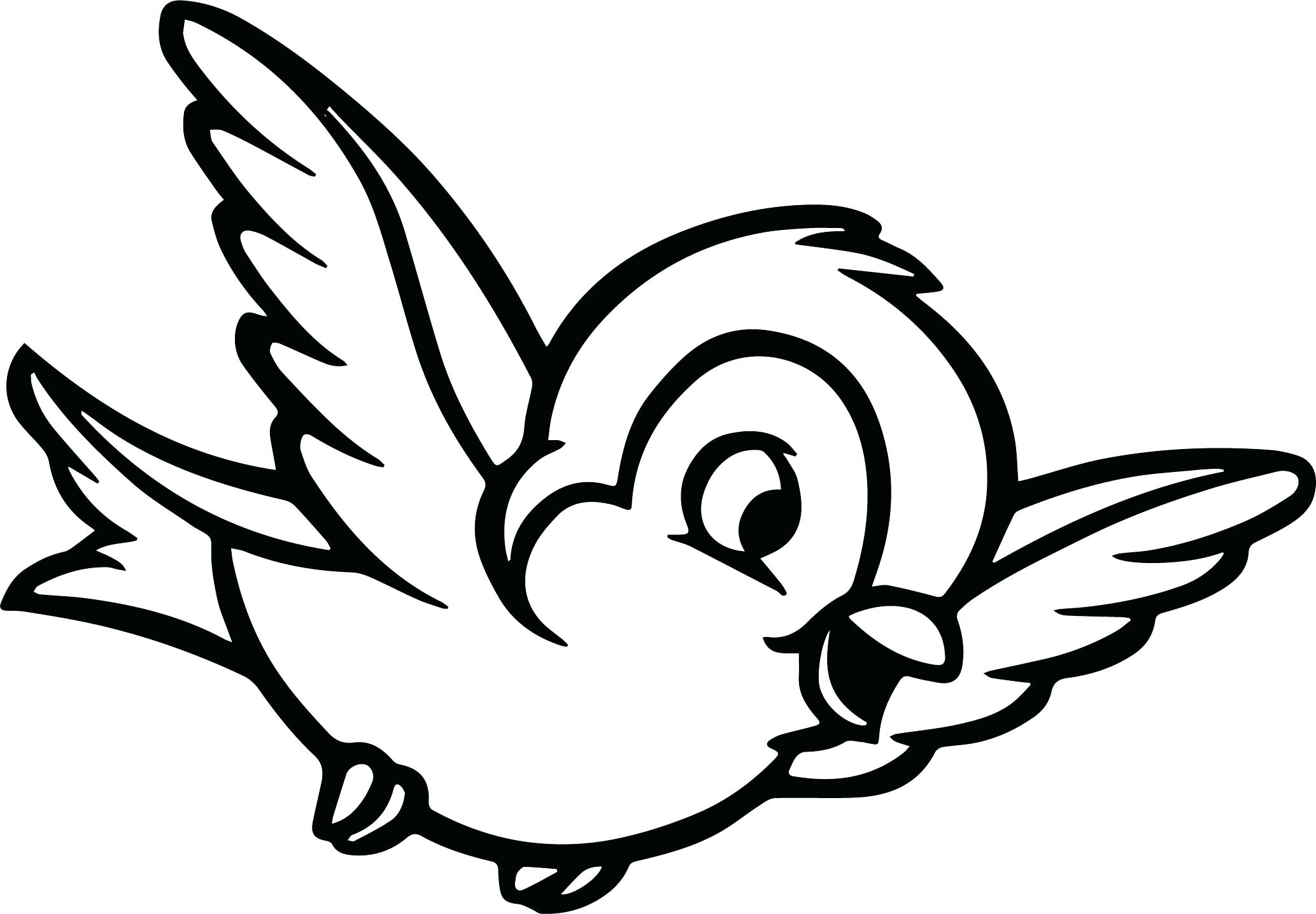 2067x1435 Ideas Of Coloring Pages Of Birds In The Rainforest For Coloring