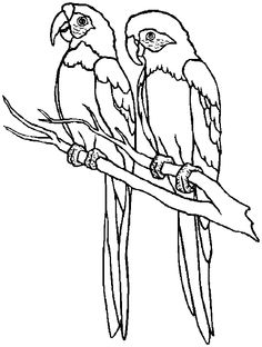 236x312 Printable Rainforest Animal Coloring Pages Kids