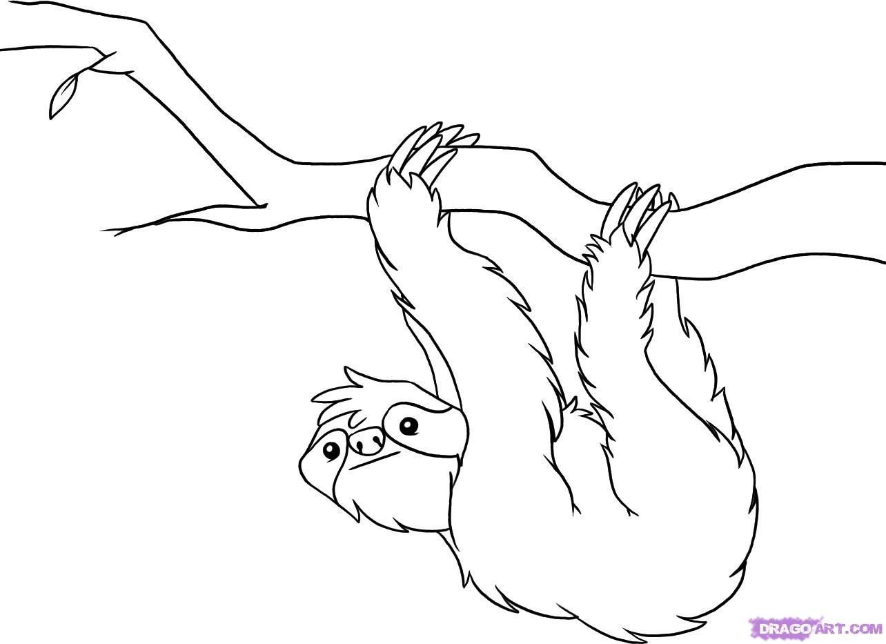 1284x933 Rainforest Animals Coloring Pages Free 4th Grade Science