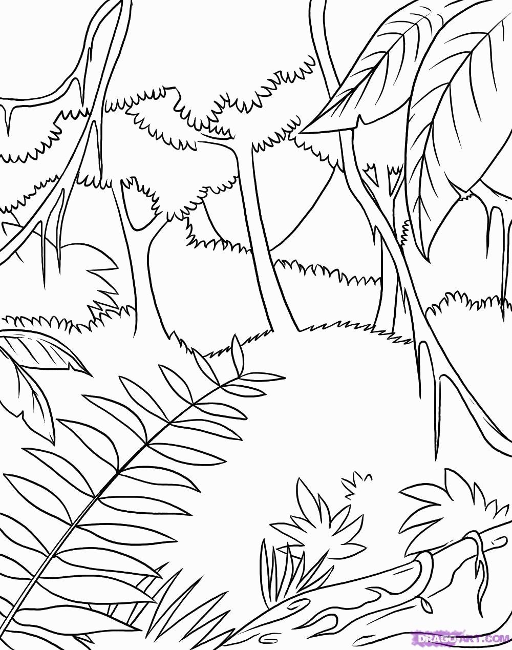 1000x1269 Rainforest Coloring Pages Inspirational Rain Forest Trees Coloring
