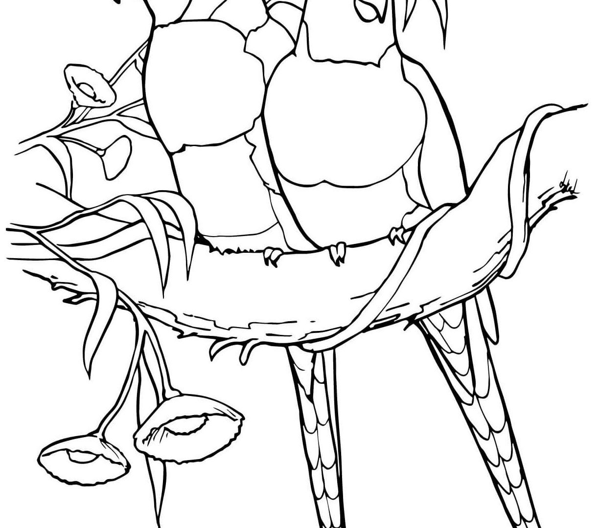 1224x1080 Bird Coloring Page Printable To Pretty Print Printables Pages
