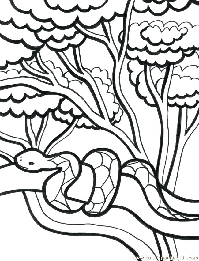 650x852 Tropical Coloring Pages Adult Coloring Book Coloring Page