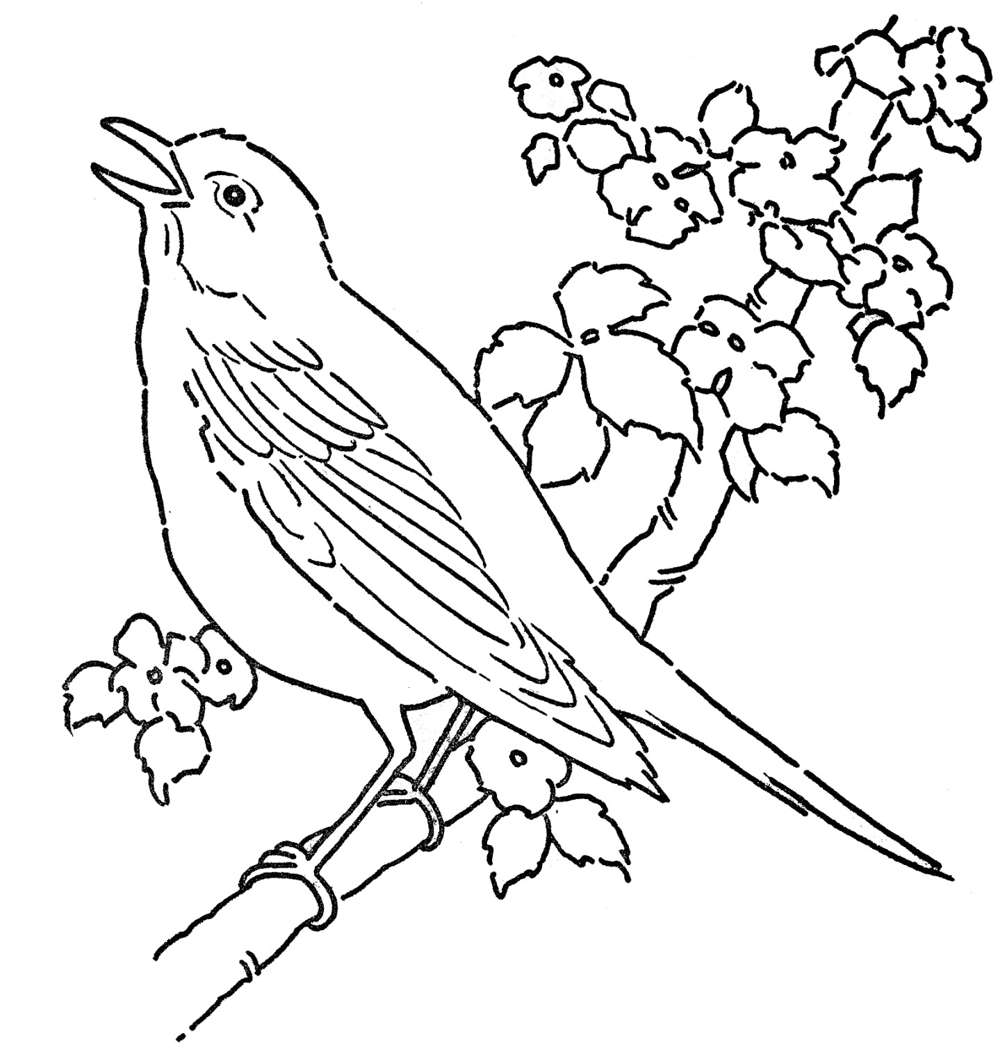 1449x1504 Bunch Ideas Of Coloring Pages Of Birds In The Rainforest For Great