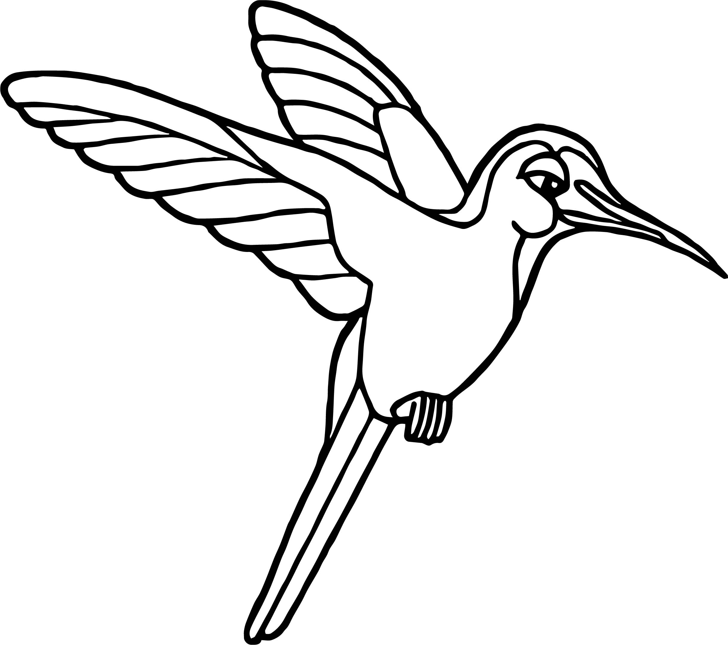 2435x2158 Collection Of Solutions Coloring Pages Of Birds In The Rainforest