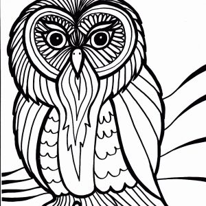 300x300 Coloring Pages Of Birds In The Rainforest Best Of Drawn Animal