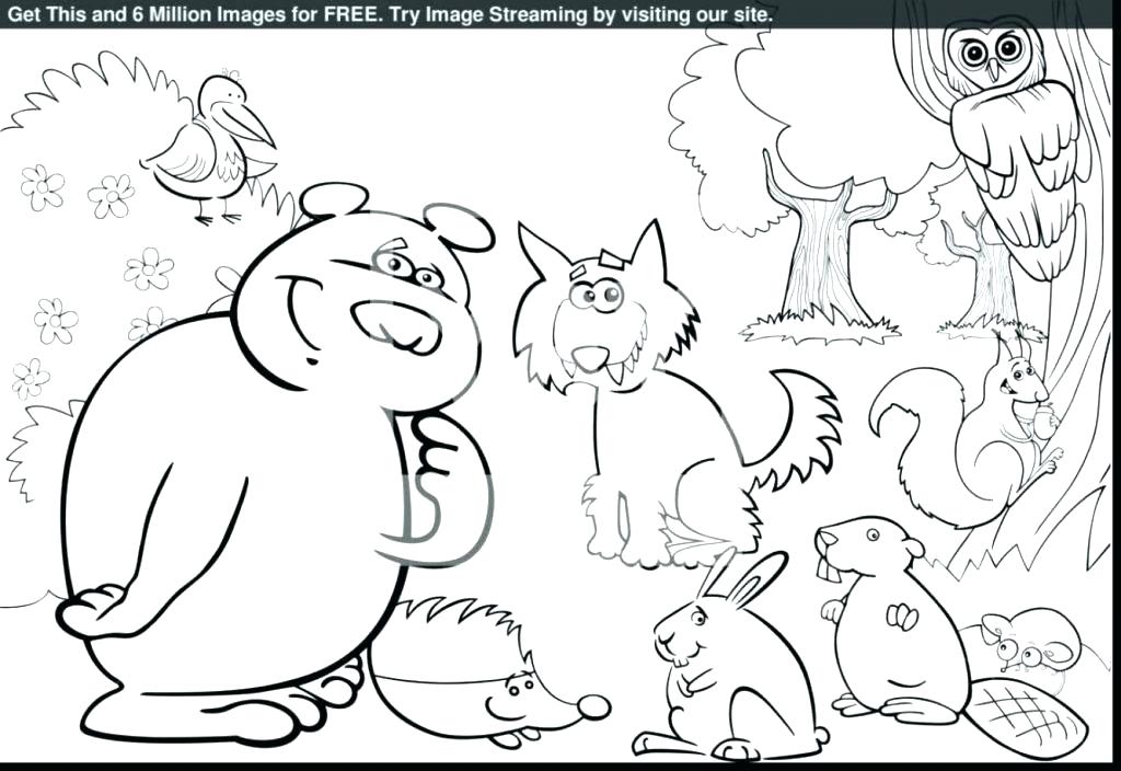 1024x704 Rainforest Coloring Pages To Print