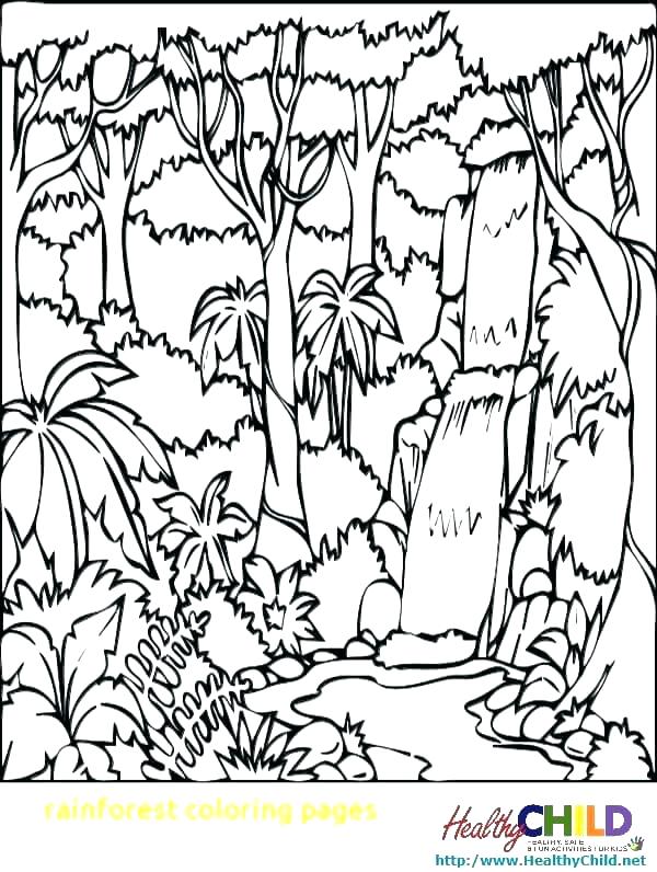 600x796 Forest Coloring Pages Rain Forest Coloring Pages Coloring Pages