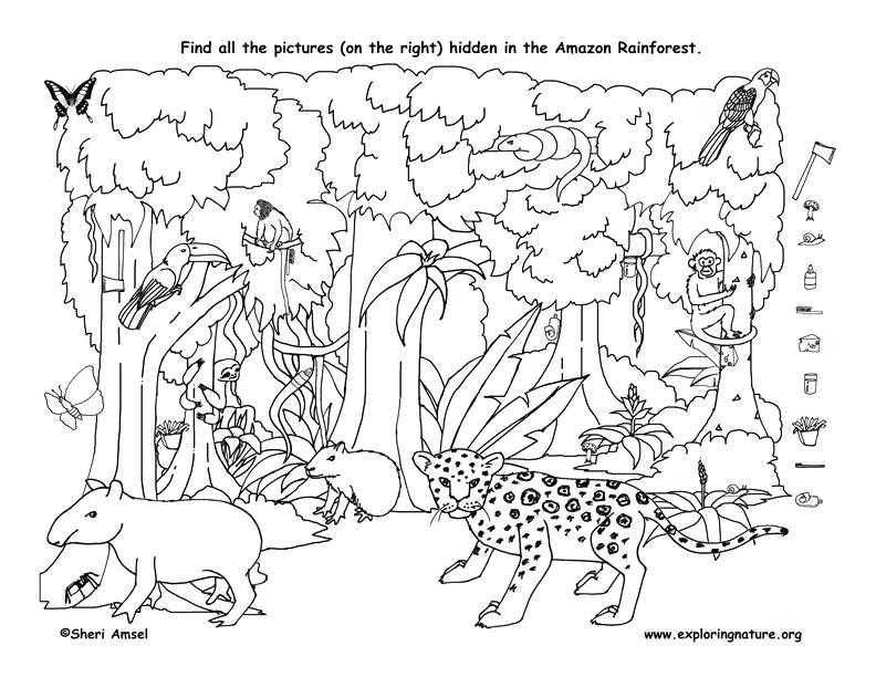 792x612 Plus Coloring Pages To Print Hidden Pictures Coloring Sheets Pages