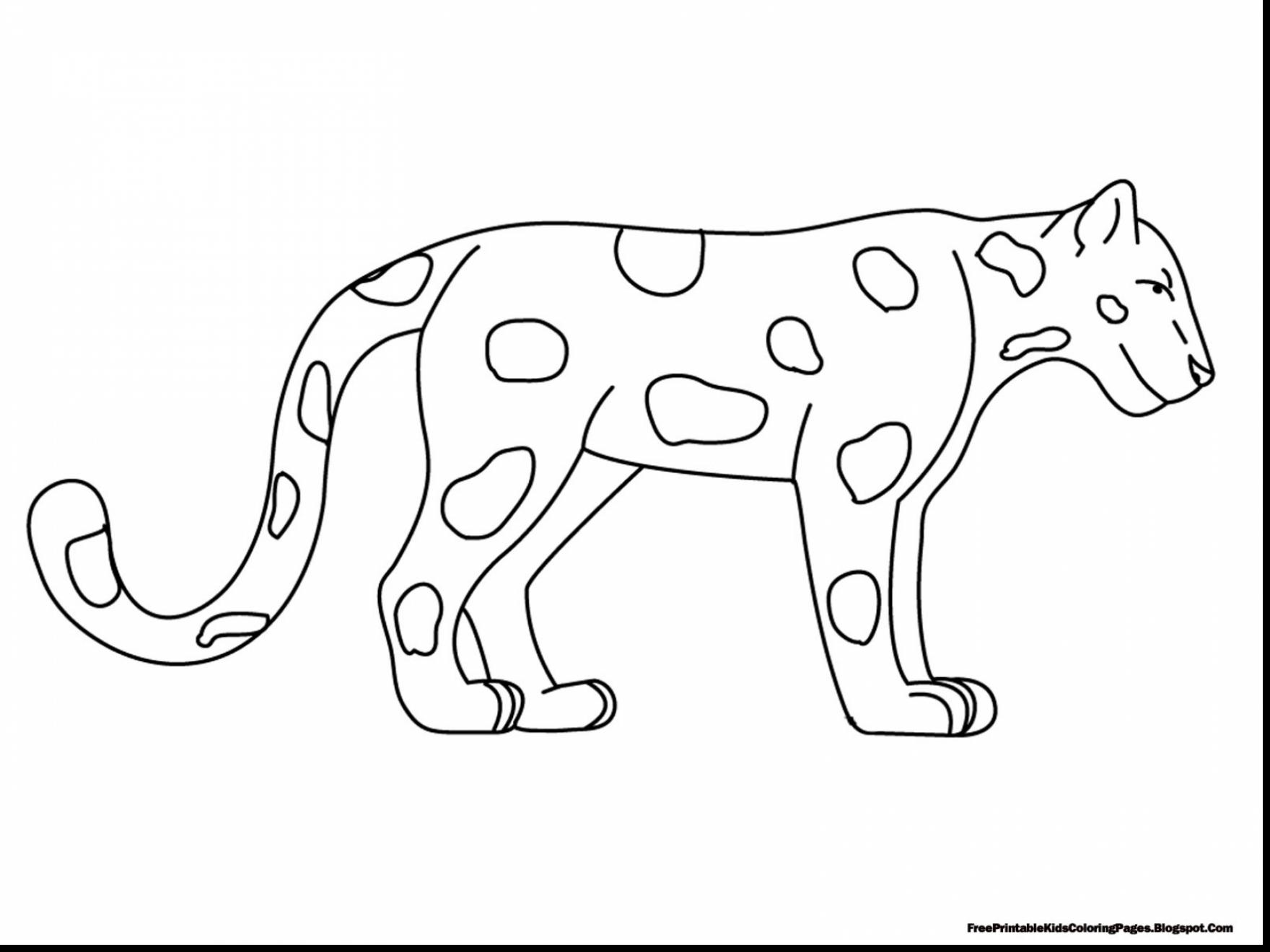 Rainforest Coloring Pages For Kids