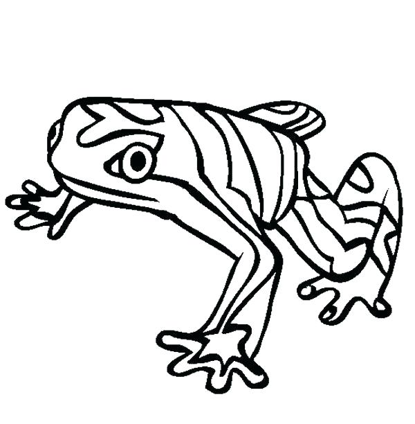 600x612 Rain Forest Coloring Pages