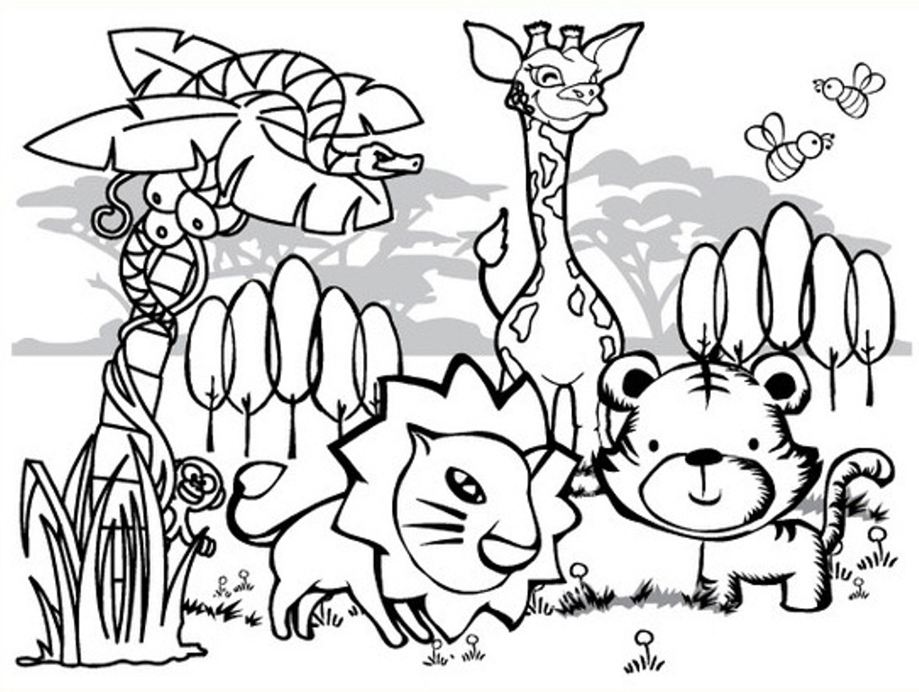 1020x768 Rainforest Coloring Pages Endangered Species Coloring Pages