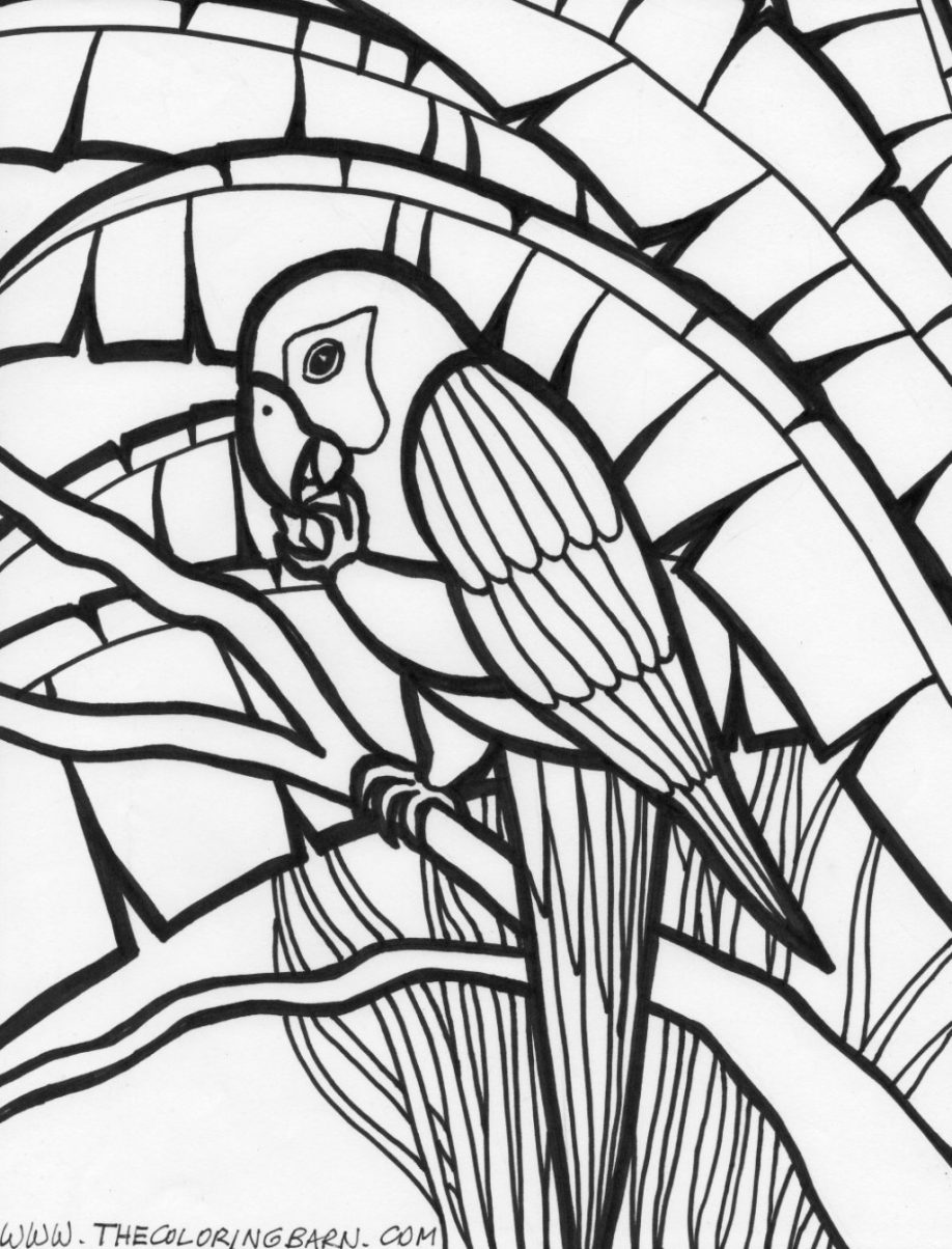 918x1204 Free Printable Rainforest Coloring Pages 458604
