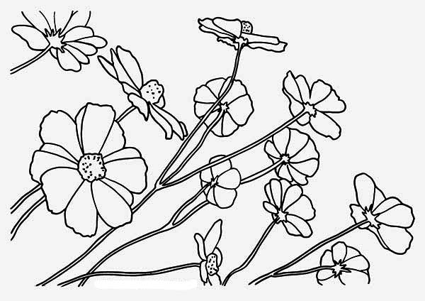 Rainforest Flowers Coloring Pages