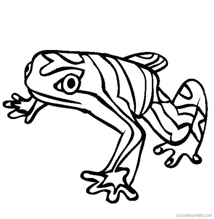 686x700 Rainforest Coloring Pages Rainforest Flowers Coloring Pages