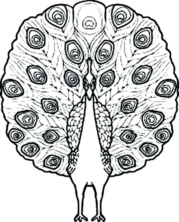 600x743 Rainforest Flowers Coloring Pages Tropical Coloring Pages Coloring