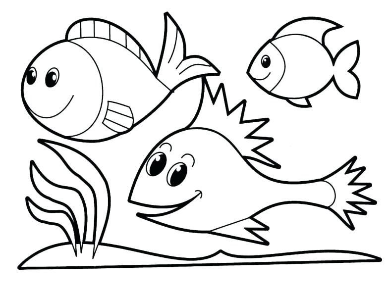 785x598 Tropical Coloring Pages Coloring Tropical Rainforest Flowers