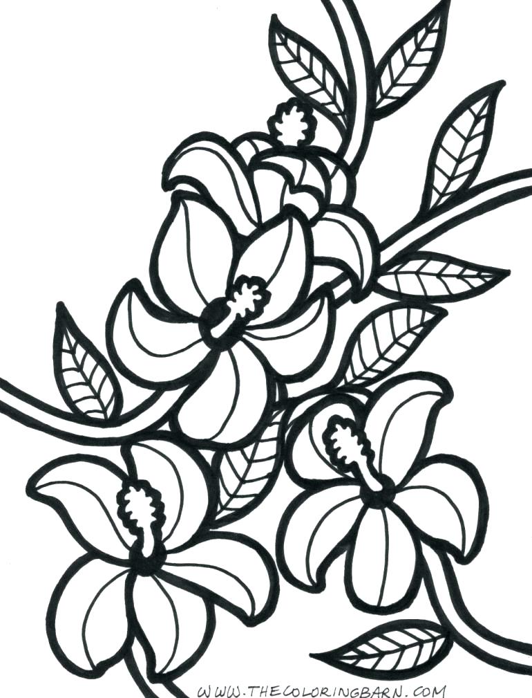 770x1009 Tropical Flowers Coloring Pages Color Page Flower Free Printable