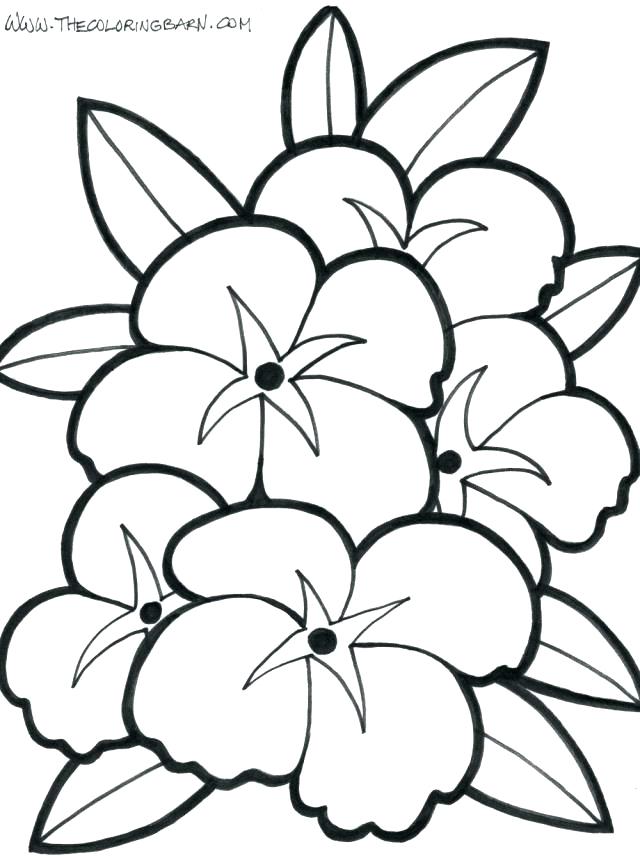 640x856 Tropical Flowers Coloring Pages Many Interesting Cliparts New