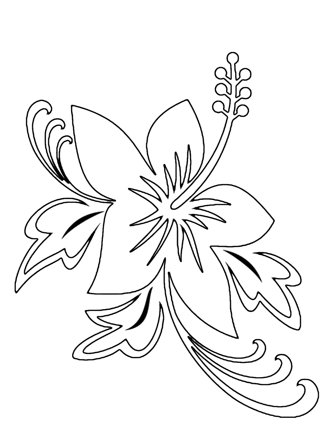 1164x1565 Exotic Flower Coloring Pages