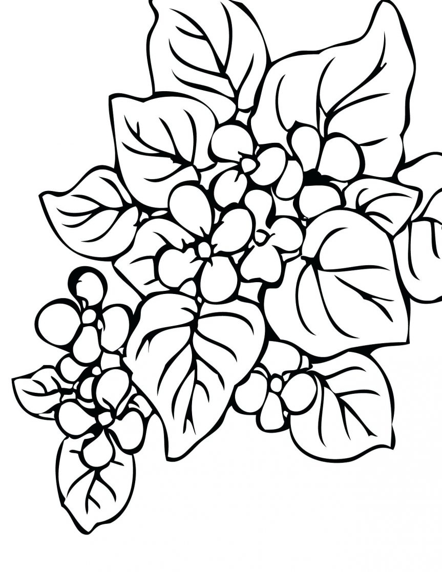 Rainforest Plants Coloring Pages