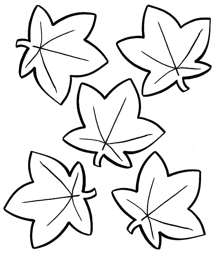 736x868 Rainforest Animal Coloring Pages Amazon Coloring Page Rainforest
