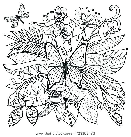 450x470 Rainforest Plants Colouring Pages Tropical Coloring Pages Tropical