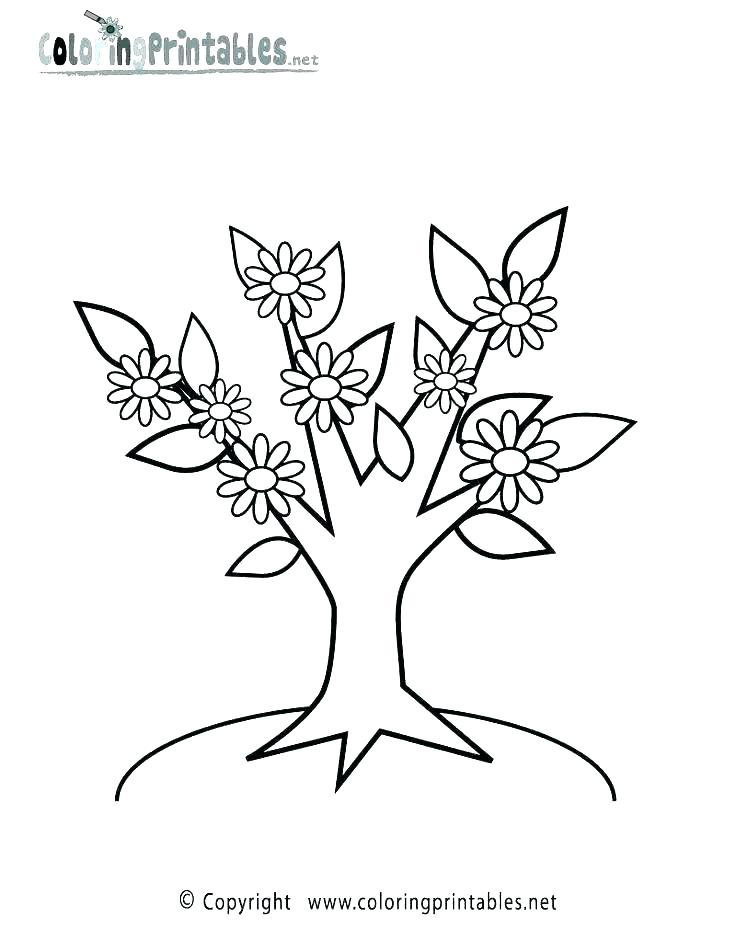 736x952 Tropical Coloring Pages Plants Coloring Pages Tropical Coloring