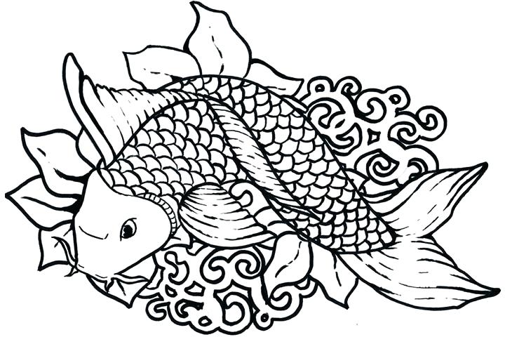 720x480 Tropical Coloring Pages Tropical Fish Coloring Page Tropical
