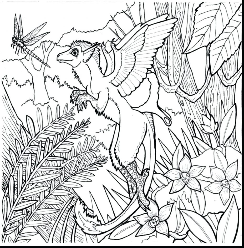 1024x1041 Coloring Pages ~ Rainforest Coloring Pages Plants For Adults Free