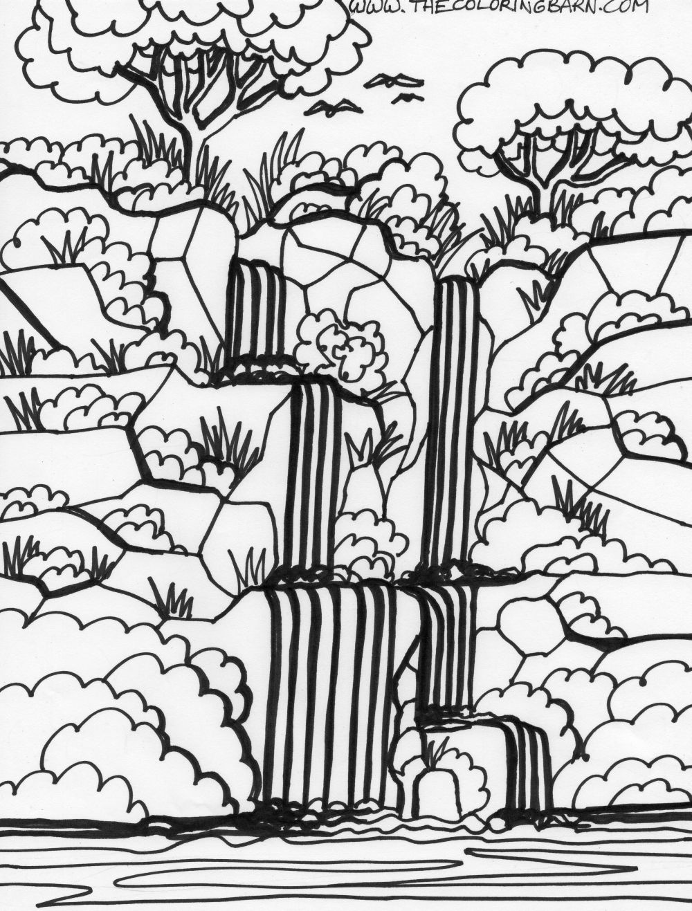 Rainforest Trees Coloring Pages