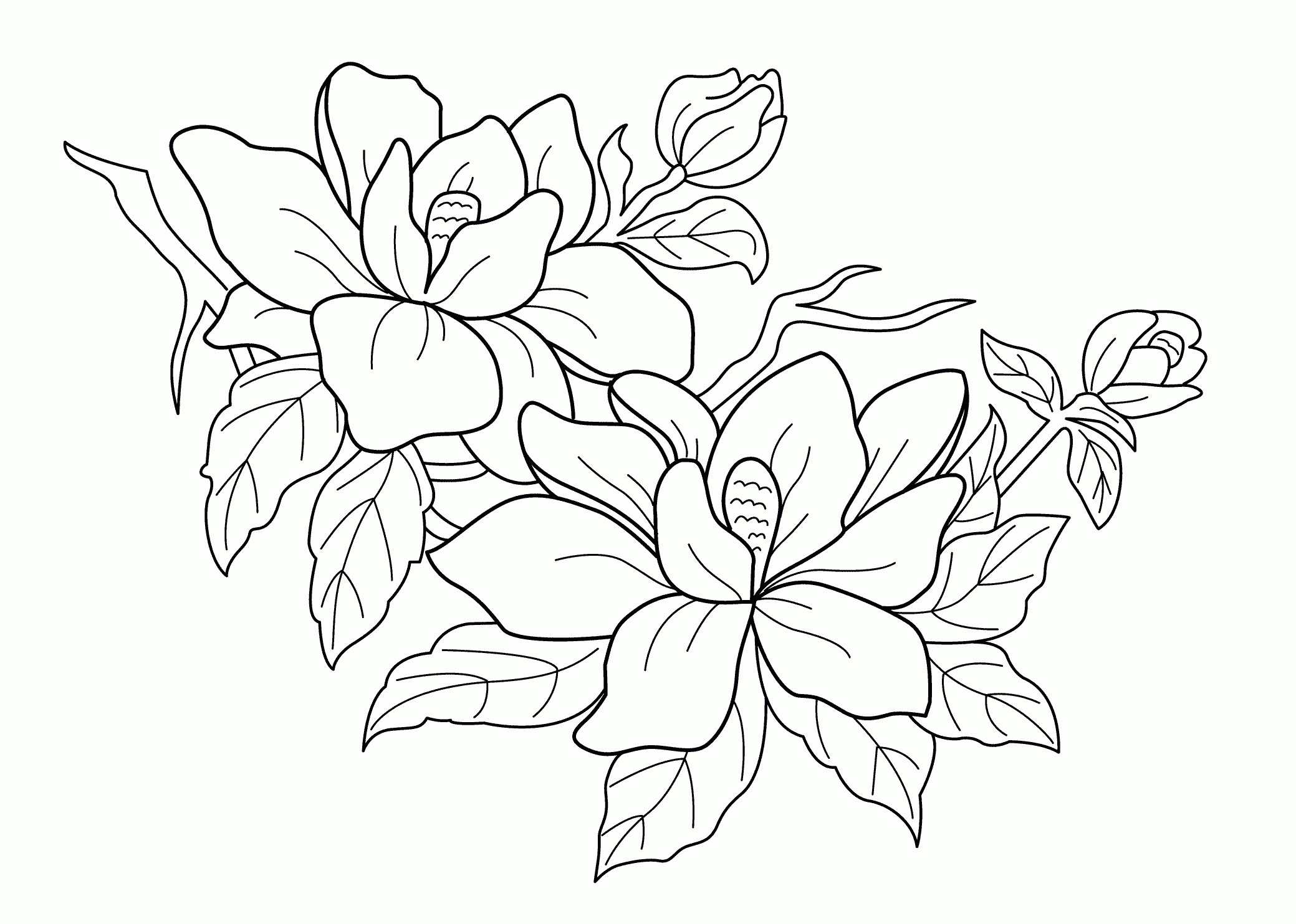 2079x1483 Coloring Pictures Of Flowers And Trees Best Of Coloring Pages