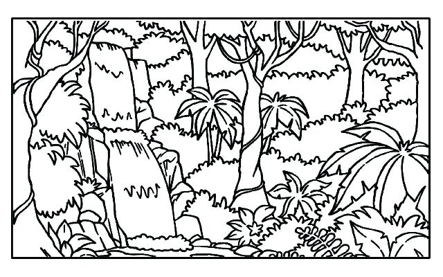 640x400 Rainforest Coloring Pages Tropical Coloring Pages Rainforest Trees