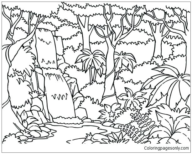 613x492 Forest Coloring Forest Coloring Pages Waterfall In The Forest