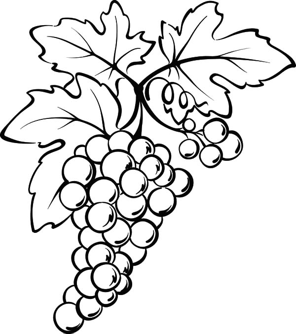 600x677 Free Printable Coloring Pages