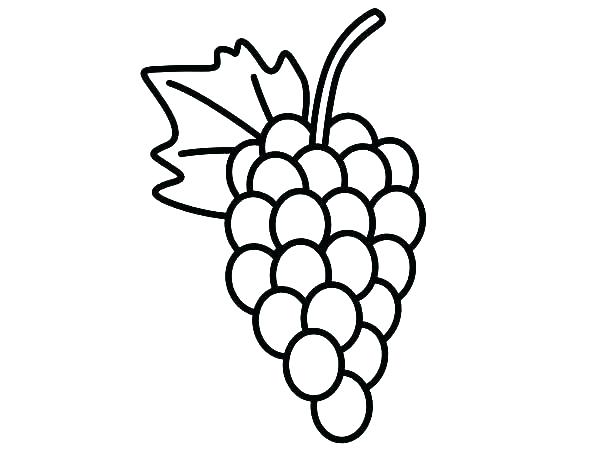 600x450 Grape Coloring Page Grapes Coloring Page Grapes Coloring Page