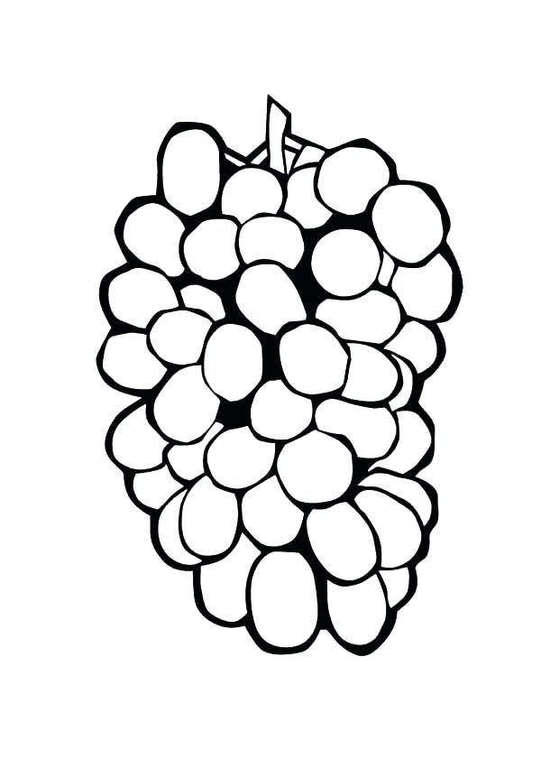 600x851 Grapes Coloring Pages Grapes Coloring Pages Grapes Coloring Pages