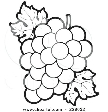450x470 Grapes Coloring Pages Grapes For Raisins Coloring Pages Grape Vine
