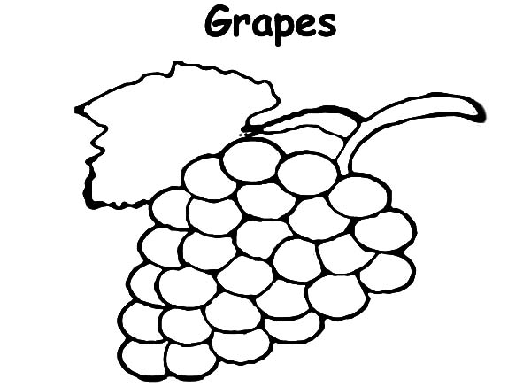 600x437 Grapes For Raisins Coloring Pages Grapes For Raisins Coloring