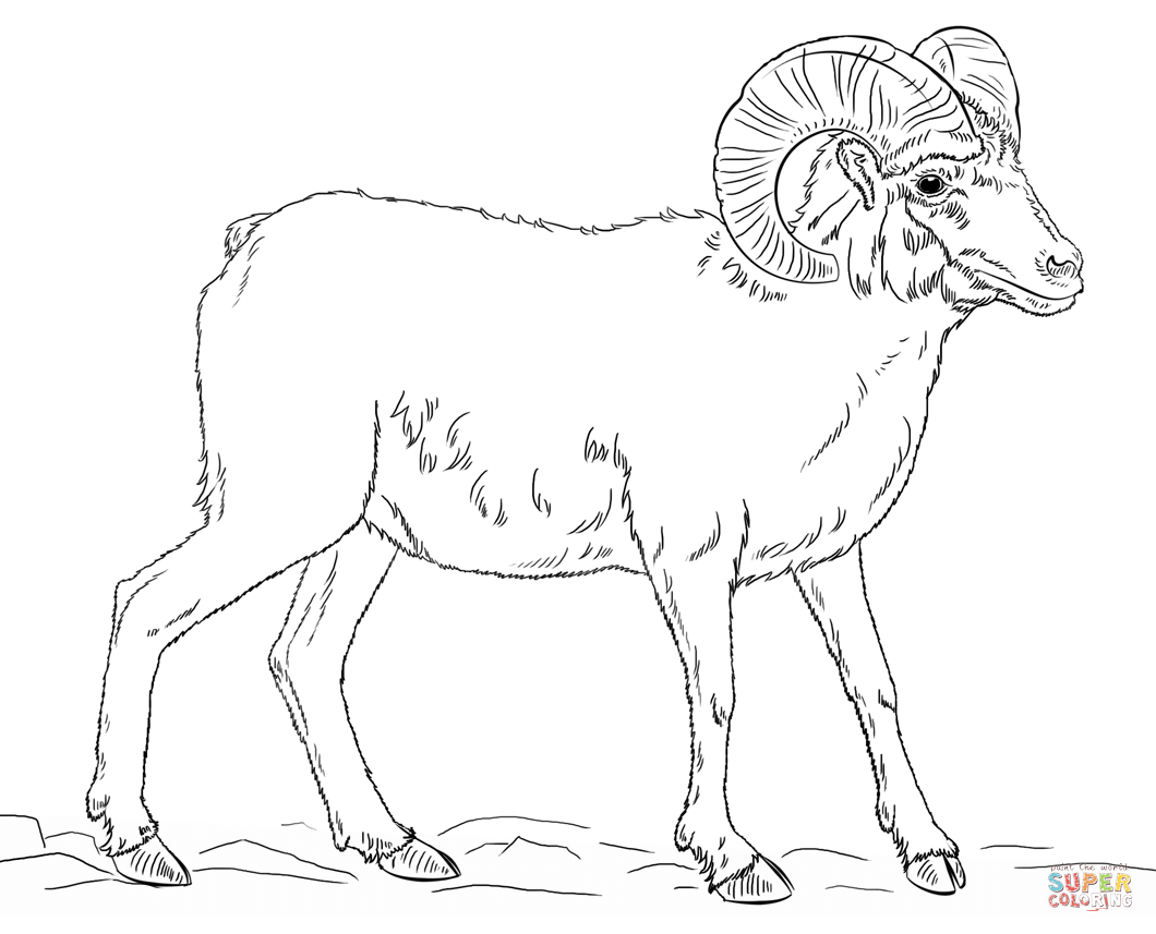 1060x857 Image Result For Ram Animal Side View Line Icon Research