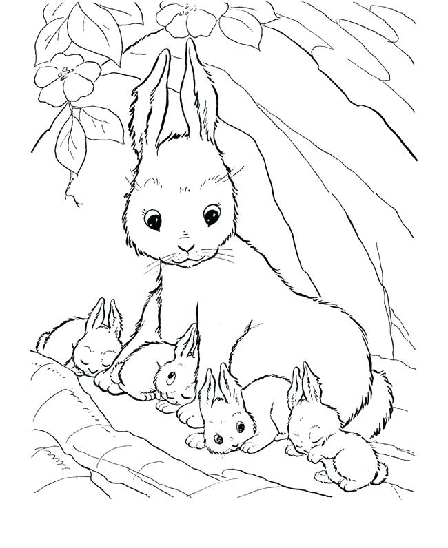 650x796 Farm Coloring Pages Rabbit Farm Animal Coloring Page Farm