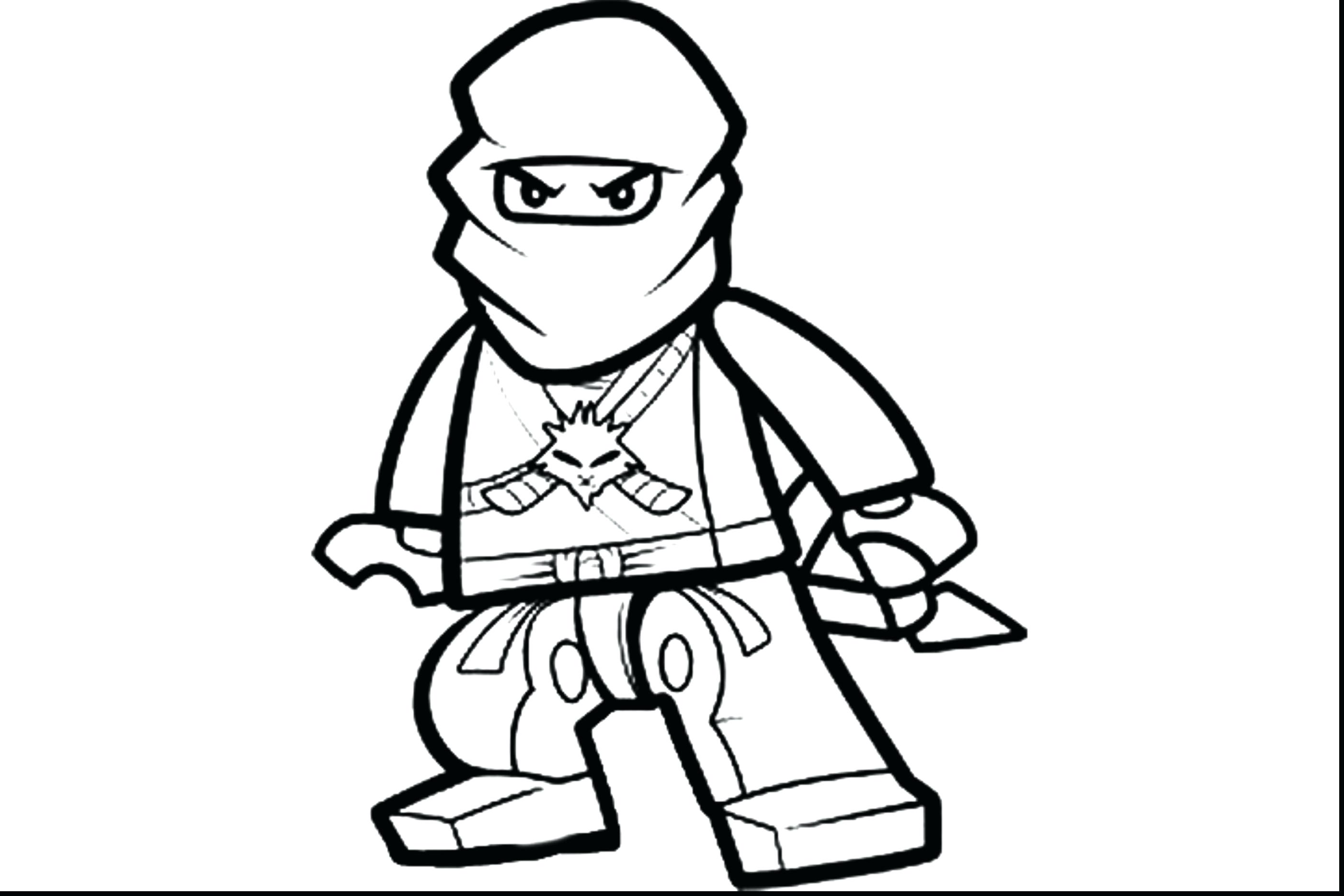 2806x1870 Gigantic Raphael Coloring Page Turtle Head Drawing At Getdrawings