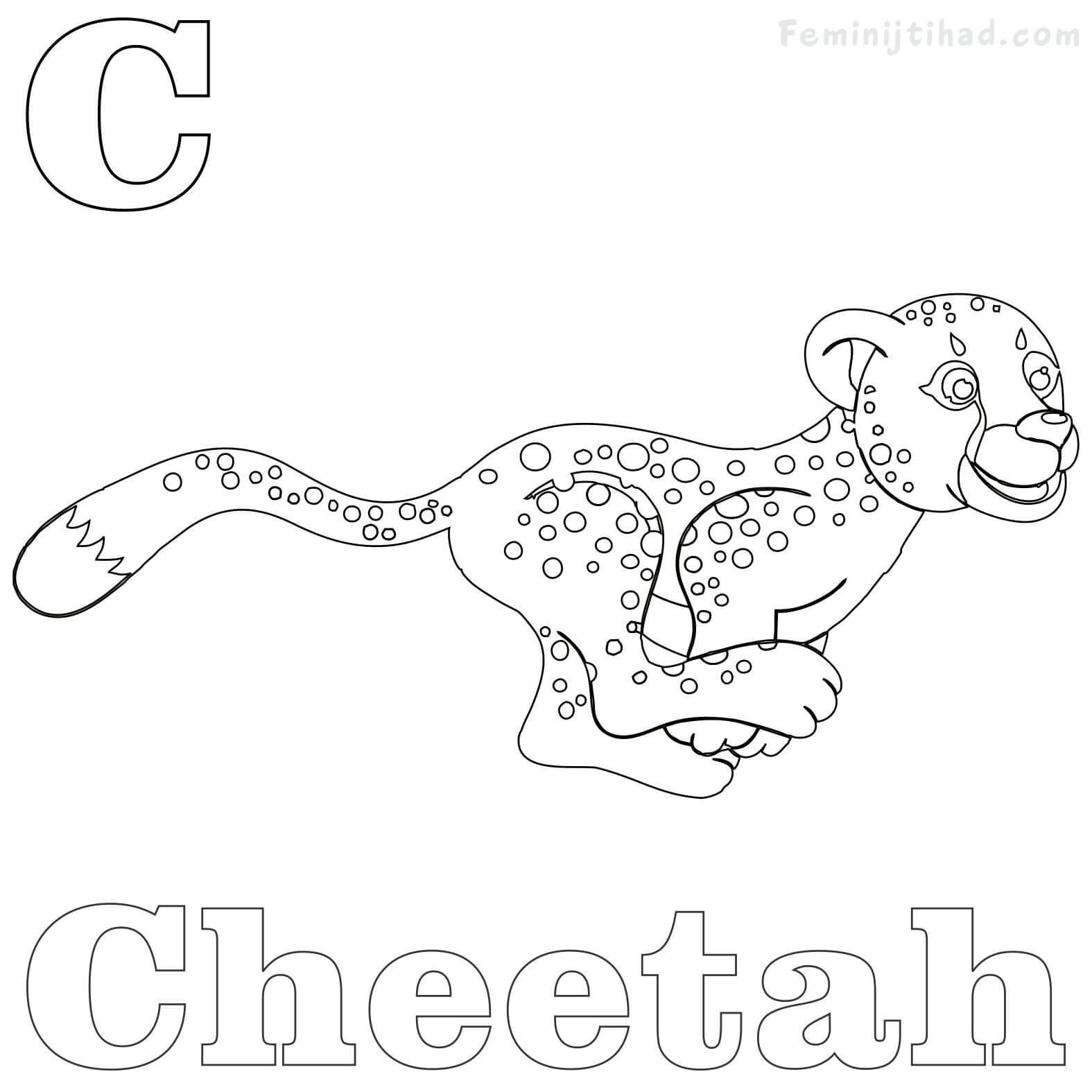 1575x1575 Unbelievable Baby Cheetah Coloring Sheets Of Animals Printable